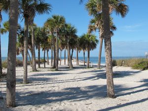 Florida beach location
