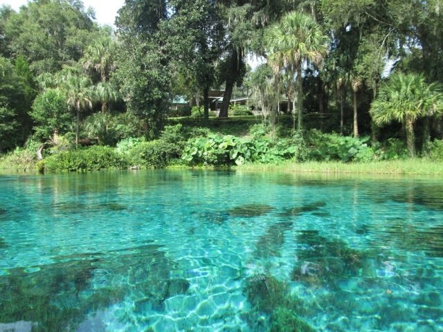 Florida spring 2